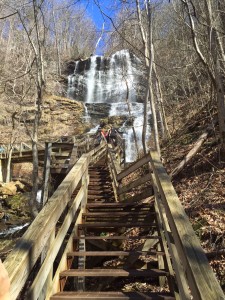 Race start at Amicalola Falls. Up the steps. I like steps. 